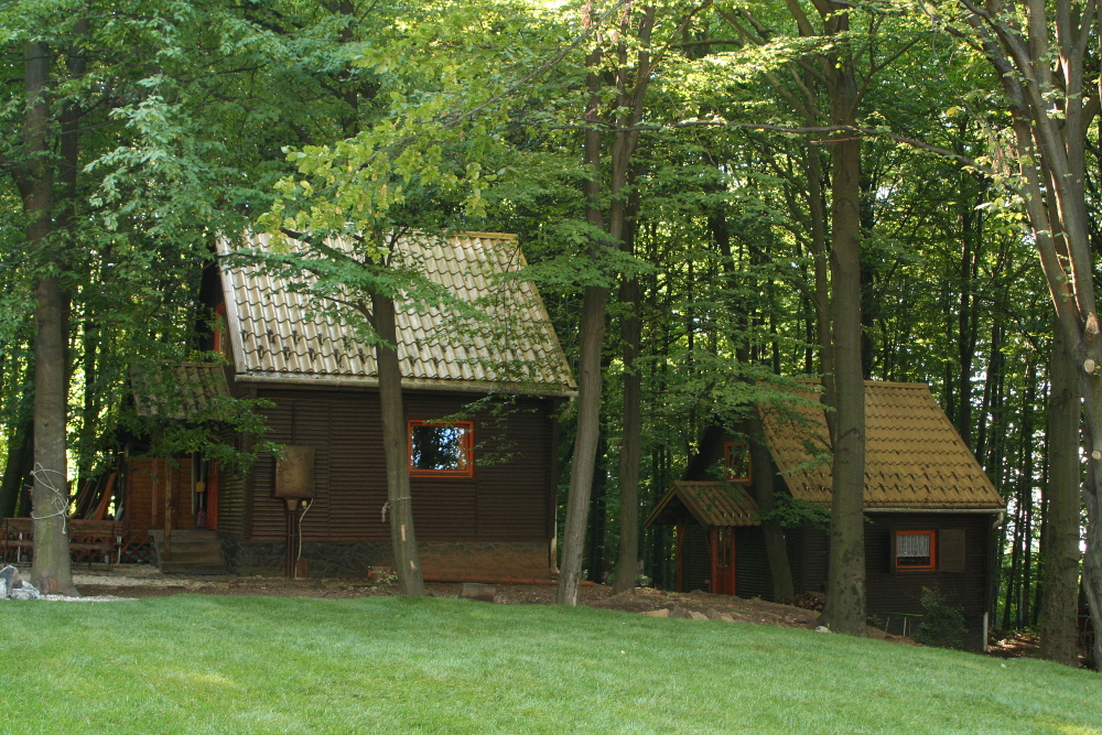 Darázshegyi Faházak az erdőben Darázshegyi Faházak az erdőben