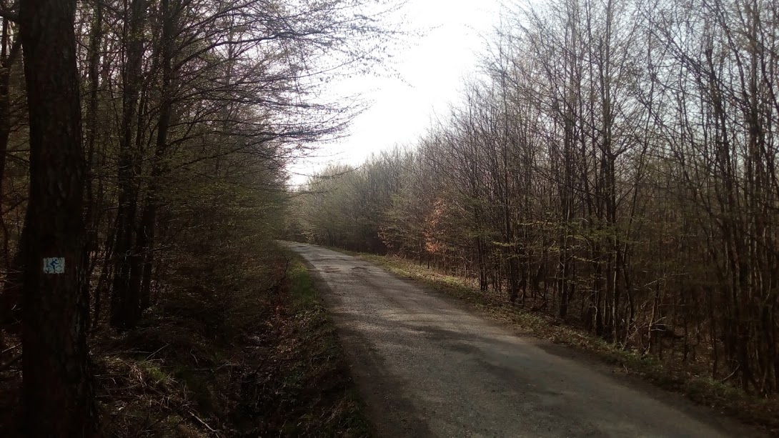 közlekedés közlekedés