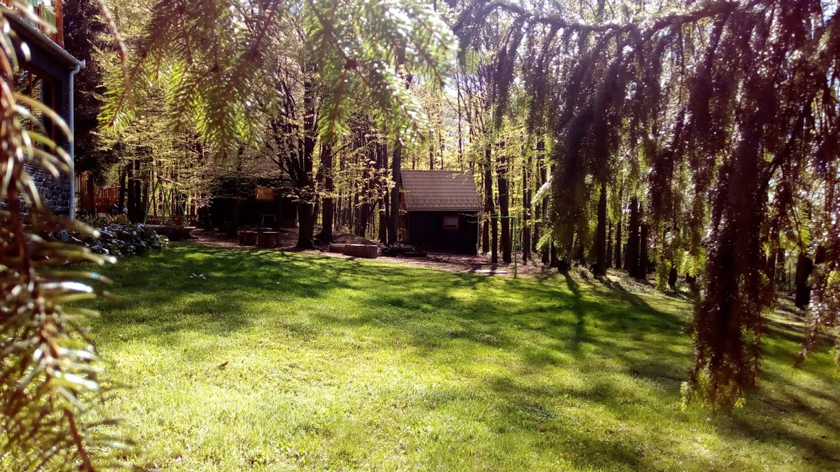 vélemények vélemények