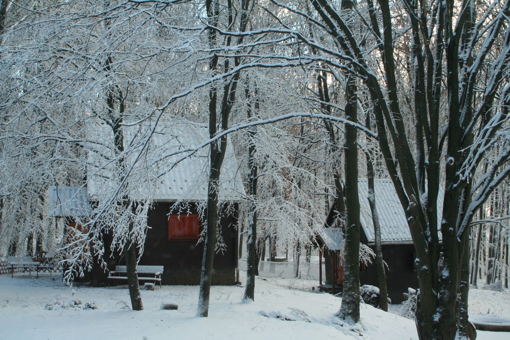 Darázshegyi Faházak a téli erdőben